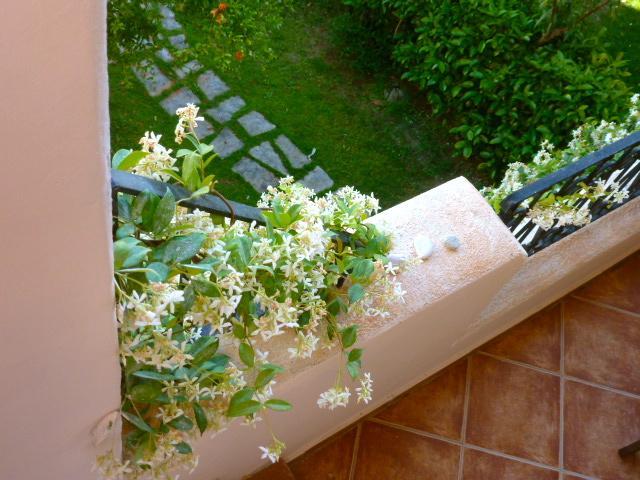 פורטו סן פאולו Il Borgo Appartamenti By Kasavacanze מראה חיצוני תמונה